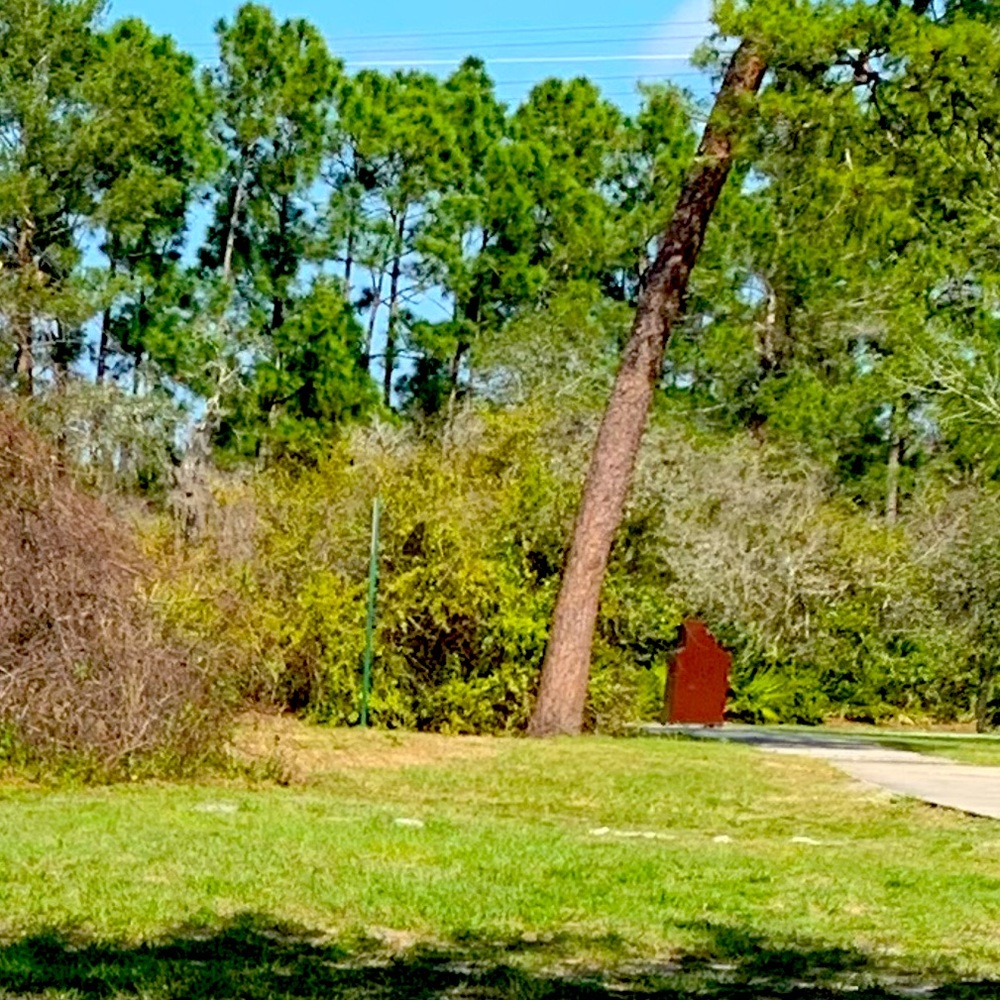 Meet your Posher, Rashaana